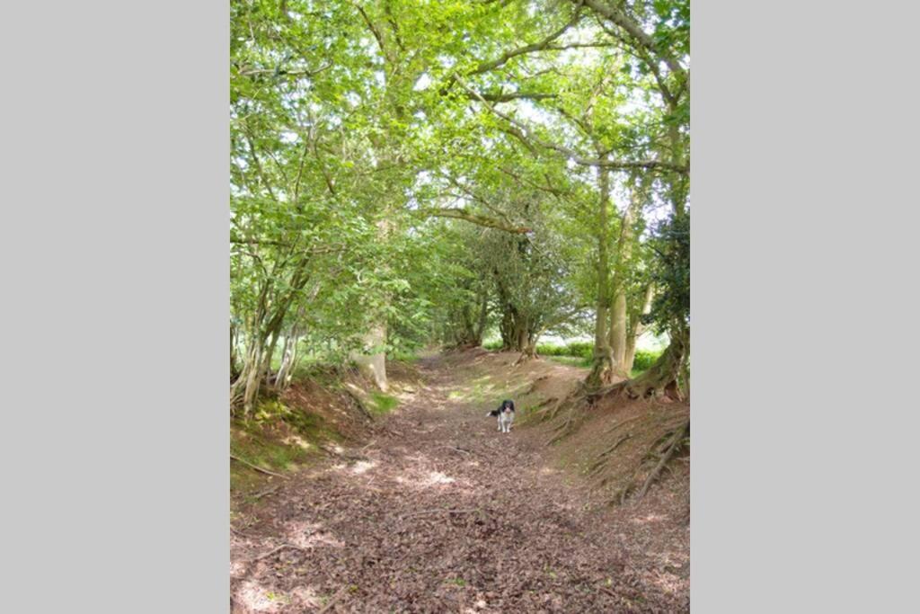 Upper Heath Farm - Stable Cottage Ludlow 克雷文阿姆斯 外观 照片